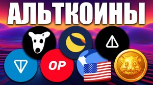 Альткоины которые дадут иксы! Разбор монет: NOT TON LUNC USTC DOGS HMSTR OP
