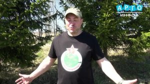 Под Вязьмой завершилась Международная Вахта Памяти: подняты 64 бойца и установлены новые имена