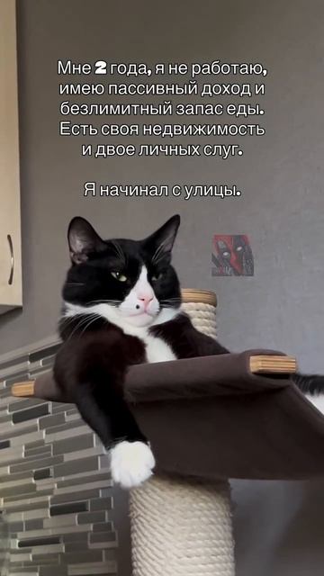 😼🫶😎