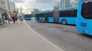 сборник транспорт около метро Строгино