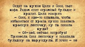 ✡️_Раввин_Заблудился_в_Лесу!_Еврейские_Анекдоты!_Анекдоты_Про_Евреев!