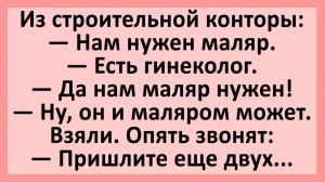 Из строительной конторы: Нам нужен маляр. Есть гинеколог... | Анекдоты смешные | Юмор