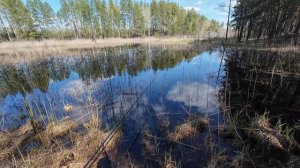 «Весенний релакс : Рыбалка и поход по природе «