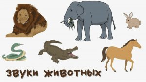 Как говорят животные Звуки животных для детей Развивашки для самых маленьких