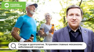 Вебинар «Сосуды и долголетие. Устраняем главные механизмы заболевания сосудов»