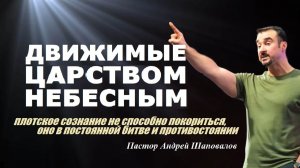 Плотское сознание в постоянной битве и противостоянии. Движимые Царством Небесным.Пастор А.Шаповалов