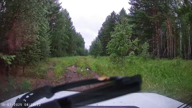 Эксклюзивные покатушки по тайге на Ниве по бездорожью, приключения и природа