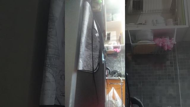 VID_20260508_173657.mp4
