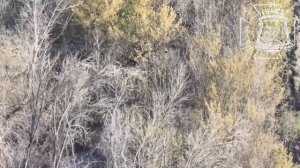 💥Бои в Волчанском районе: наши операторы FPV-дронов уничтожают очередную вражескую станцию РЭБ