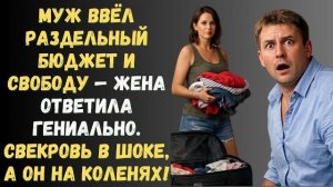 Истории из жизни|Муж ввёл раздельный|Аудио рассказы|Аудиокниги слушать онлайн|Жизненные истории
