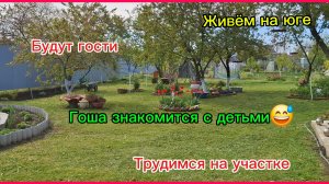 08-05-2026/Краснодарский край/Наша жизнь на юге/Работаем в саду/Носимся с курицами /Знакомство /