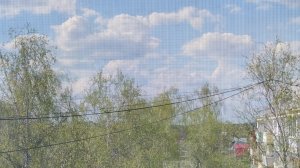 новая амуниция для Часпера 🫟