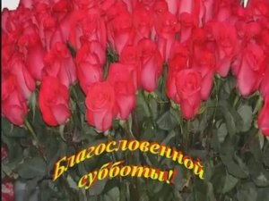 Суббота - Светлана Малова