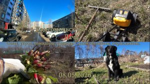 Комсомольск-на-Амуре. Дача. Салат, укроп, помидоры, редиска. 08.05.2026