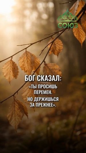 Про нежелание меняться