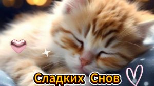 Самое Красивое Пожелание Спокойной Ночи Сладких Снов! Доброй Ночи