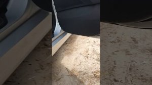 соната