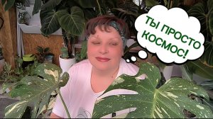 ДВЕ МОНСТЕРЫ ЛУЧШЕ, ЧЕМ ОДНА! РАЗМНОЖАЮ ✨ТАЙСКОЕ СОЗВЕЗДИЕ✨! 08-05-2026