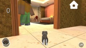 kitten cat simulator 3d craft