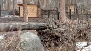 Электрическая изгородь