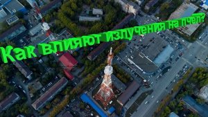 ЛЭП и вышки связи: вредят ли они пчёлам? Отвечает профессор Кашковский ⚡🐝