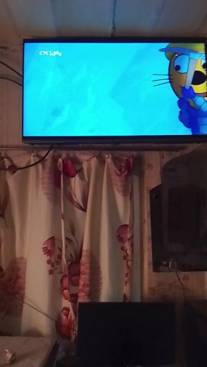 СТС kids:тыц тыдый тыдый трансляция.