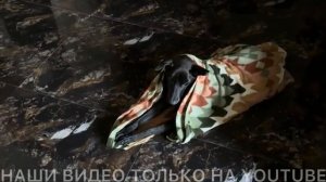 Привет я Индия ОПЯТЬ СКОРАЯ У НАШЕГО ДОМАСТРАННЫЙ ПАЦИЕНТ