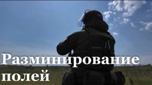 Свыше 70 гектаров пашни обследуют саперы МЧС в ЛНР