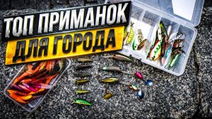 ЛОВЯТ ТАМ ГДЕ РЫБЫ НЕТ 👉 ЛУЧШИЕ ПРИМАНКИ для ГОРОДСКОЙ РЫБАЛКИ