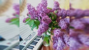 🔴 O melodie pentru tine 🤗❤️💕