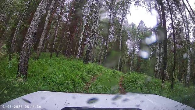 Нива в тайге захватывающие покатушки по бездорожью