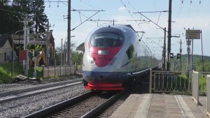 «Летит по неправильному!» Электропоезд «Сапсан» Velaro RUS B2 ЭВС2 - 04 на пл.246 км, май 2024 года