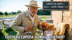 Дозировка сиропа для пчел: Практические расчеты от профессора Кашковского