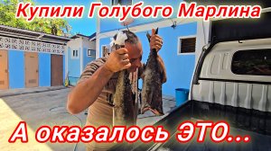 НАС ОБМАНУЛИ? Купили Голубого Марлина, а получили ЭТО... 🐟 Филиппины, Себу
