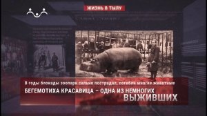 Лики войны. Жизнь в тылу. Евдокия Дашина