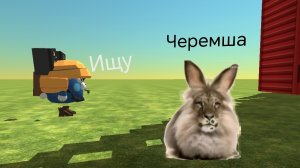 Ищу черемшу
