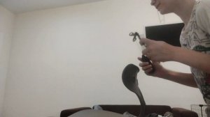 1 shorts (стоматолог)