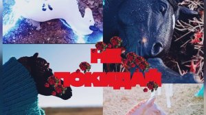«Путь « шляйх сериал. Часть одиннадцатая «не покидай «