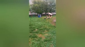 догоны 2 часть