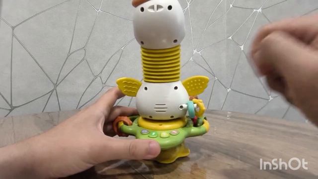 Гусь-хохотусь🪿ОБЗОР
