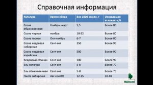 1 часть. Производство сеянцев хвойных видовых и доращивание в первой школке - Алексей Олейник
