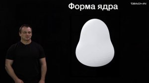 Простыми словами: что внутри атомного ядра (Наумов Д.В.)