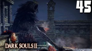 ВОСПОМИНАНИЯ (45) ► Dark Souls 2
