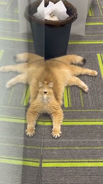 Да что ты такое?)))