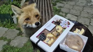 Огромная Благодарность за подарки!