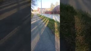 вечерная прогулка