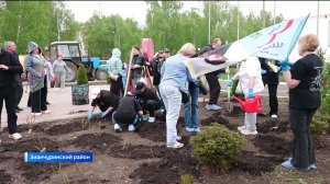 Белые розы вновь зацвели в память о Юрии Шатунове