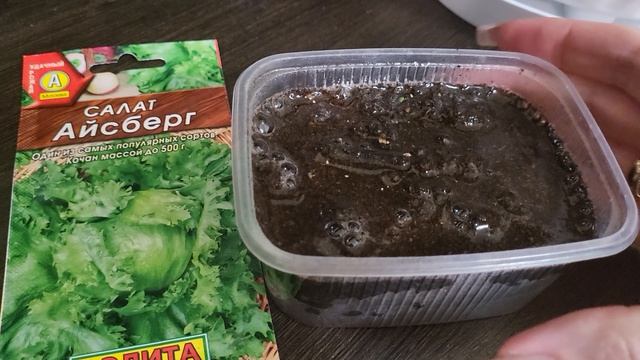 СЕЮ САЛАТ АЙСБЕРГ ТОЛЬКО ТАК!