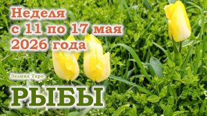 РЫБЫ | ТАРО прогноз на неделю с 11 по 17 мая 2026 года