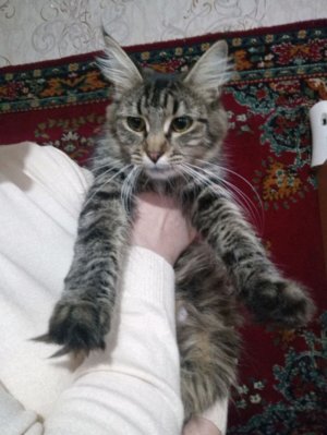 я с вами